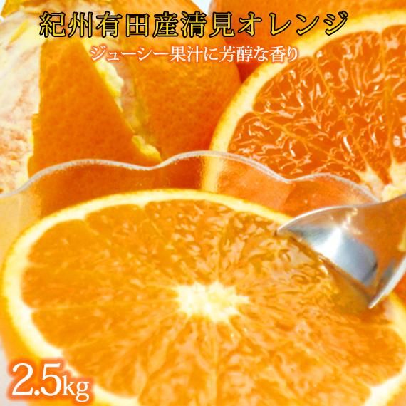 とにかくジューシー清見オレンジ 約2.5kg[2026年3月下旬以降発送][先行予約][UT131] 303446_XF91171