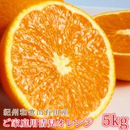 ［ご家庭用訳あり］紀州有田産清見オレンジ 約5kg［2026年3月下旬以降発送］［先行予約］［UT132］ 303446_XF91172