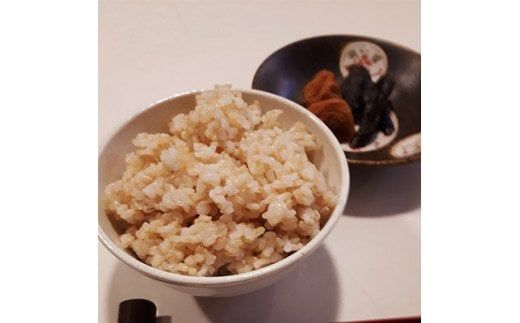 【令和7年度】《新米》【11月下旬より順次発送予定】色彩選別加工済大和米 奈良県広陵町ヒノヒカリ玄米20kg// お米 ひのひかり お米 広陵町