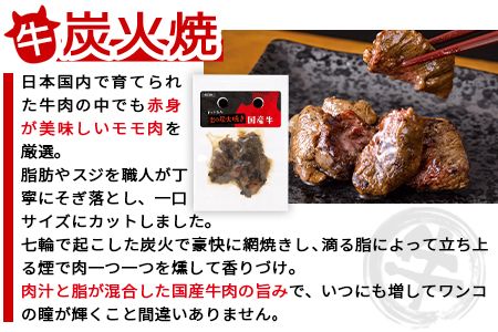 ＜愛犬用 ドットわん 炎の炭火焼き国産牛（25g×3パック）＞翌月末迄に順次出荷【b0640_pb】