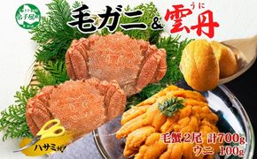 3418. 毛蟹 2尾 計700g前後 うに チリ産 冷凍 100g 専用ハサミ・食べ方ガイド付き 毛ガニ 毛がに 蟹 カニ かに 蟹肉 カニ味噌  ウニ 雲丹 海鮮 ボイル 送料無料 北海道 弟子屈町