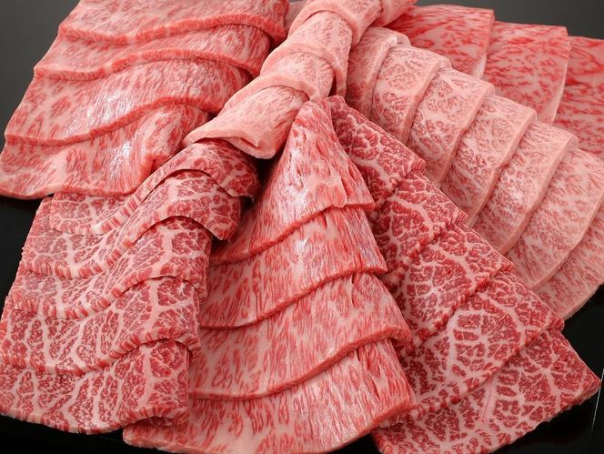 【銀閣寺大西】京都肉ステーキ（170g×4枚）＆焼肉盛り合わせ（800g）＆すき焼き・しゃぶしゃぶ用セット（800g）［ 京都 老舗 肉 人気 おすすめ グルメ おいしい 高級 ブランド ブランド牛 和牛 国産牛 料理 ステーキ すき焼き しゃぶしゃぶ 焼肉 ］  261009_A-AG016