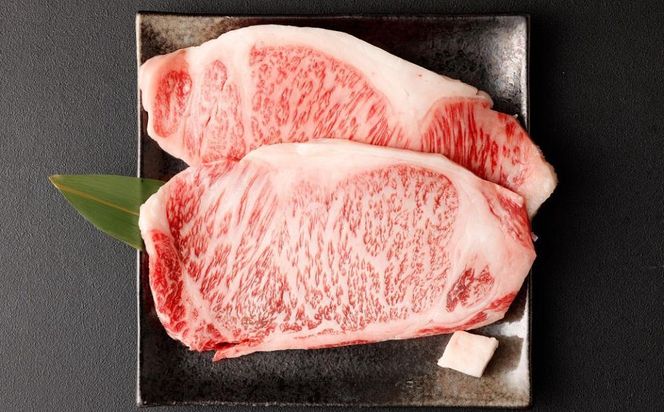 ＜定期便６回＞【京都モリタ屋】京都肉食べ比べ(1)［ 京都 老舗 肉 食べ比べ 人気 おすすめ グルメ おいしい 高級 ブランド ブランド牛 和牛 国産牛 料理 ステーキ すき焼き しゃぶしゃぶ 焼肉 ］ 261009_A-AK020