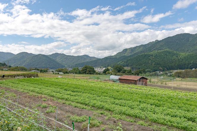 【つくだ農園】京都大原の里山から！旬の有機野菜BOXとジャムセット 261009_A-FZ001