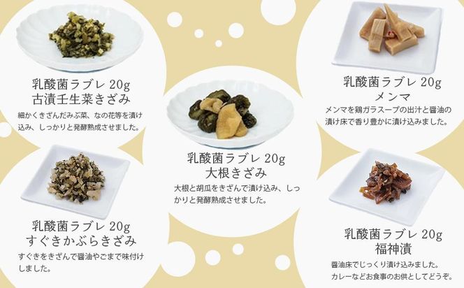 【高島屋選定品】京つけもの西利　乳酸菌ラブレ20g（20日間セット）10種各2個/計20個 261009_A-RG021