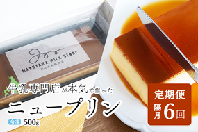 【隔月定期便】濃厚プリン　New Pudding（ニュープディング）（500g×1本）×6回【be152-0931-200-6】