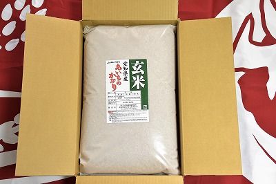 【定期便】愛知県産あいちのかおり玄米10kg×12回 H017-075