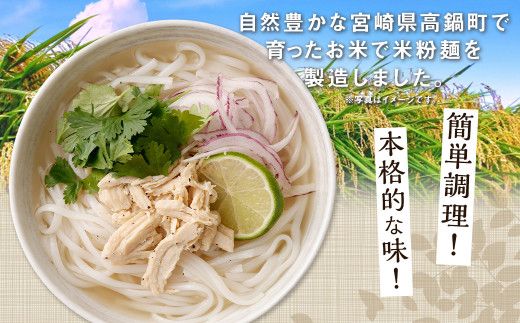 〈【2ヶ月 定期便】米粉麺 フォー 3食 セット（麺のみ +1パック）〉翌月末迄に順次出荷【c1201_fd】 本格 簡単 麺 スープ ライスヌードル