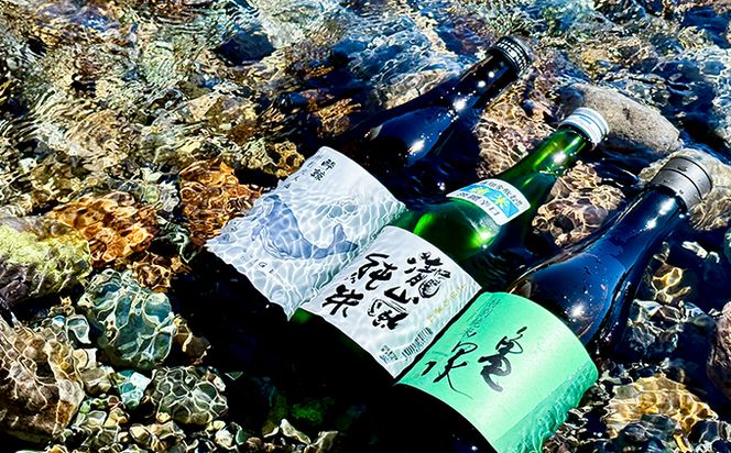 【お歳暮】土佐酒アドバイザー中岡セレクト純米・特別純米3本セット