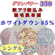 【訳あり】羽毛肌ふとん シングル お任せ ホワイトダウン85% 羽毛肌布団 羽毛布団 羽毛肌掛け布団 肌掛けふとん 夏用羽毛布団 寝具 布団 布団 150×210cm dp350