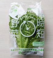 なばリーフ　フリルレタスパック【8ｐ入/時短野菜特殊フィルム包装】