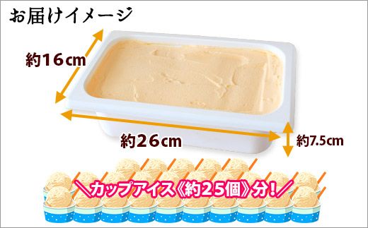 595.アイスクリーム メロン めろん ジェラート 業務用 2リットル 2L アイス 大容量  手作り 北海道 弟子屈町