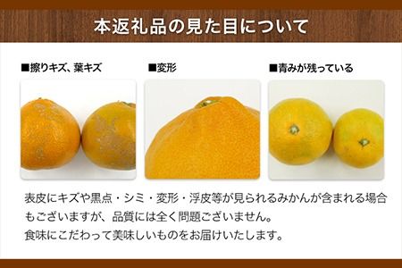 みかん ご家庭用『松田農園』ご家庭用みかん 約10kg(S-2Lサイズ) たっぷり 【日付指定不可】 予約受付中 フルーツ 秋 旬 約10kg 熊本県玉名郡玉東町『松田農園』 こだわり ミカン！ちょこっと 訳あり《11月上旬-1月下旬頃より順次出荷》---sg_wmmikan_ak111_r7_10500_10kg---