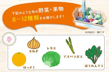 6ヶ月定期便 旬の新鮮野菜・果物詰合せセット(計6回お届け) たっぷり8-12品目 熊本県氷川町産 道の駅竜北《お申込み月の翌月から出荷開始》---sh_cmitiysiatei_21_98000_mo6num1---