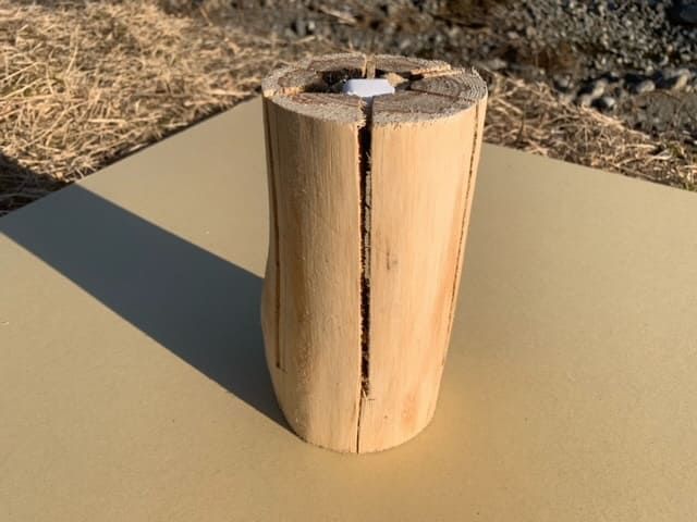 1F1ゆらぎの金時トーチ