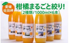 【愛媛県産】おらが自慢のジュースセット（1000ml×6本/みかん3、きよみ3） ストレート果汁100％ 無添加・無着色　※2025年4月頃より順次発送予定◇