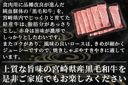  数量限定 ＜宮崎県産黒毛和牛(経産)肩ローススライス 1kg（500g×2）＞1か月以内に順次出荷【 国産 黒毛和牛 牛肉 牛 精肉 肩ロース ロース しゃぶしゃぶ すき焼き 赤身 贈答品 ギフト 贈り物 グルメ ミヤチク 宮崎県 国富町 】【b0752_my】