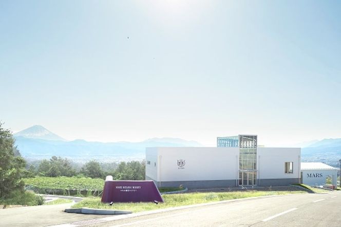 ワイン 赤 白 飲み比べセット 各750ml 2本セット [本坊酒造 マルス穂坂ワイナリー 山梨県 韮崎市 20743121] 白ワイン 赤ワイン 酒 お試し セット 詰め合わせ