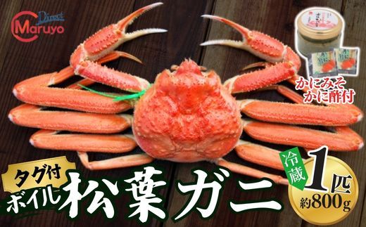 【ボイル松葉ガニ 1匹（約800g）かにの身入りかにみそ 三杯酢付 冷蔵】ご入金確認後、1ヶ月程度で配送予定 配送前に事前連絡いたします 香住･山陰沖で水揚げされた新鮮な松葉ガニを熟練の職人が茹で上げ