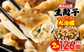 【順次発送】 八代市東陽町の生姜を使った 餃子の王国 人気生餃子126個 ぎょうざ ギョウザ
