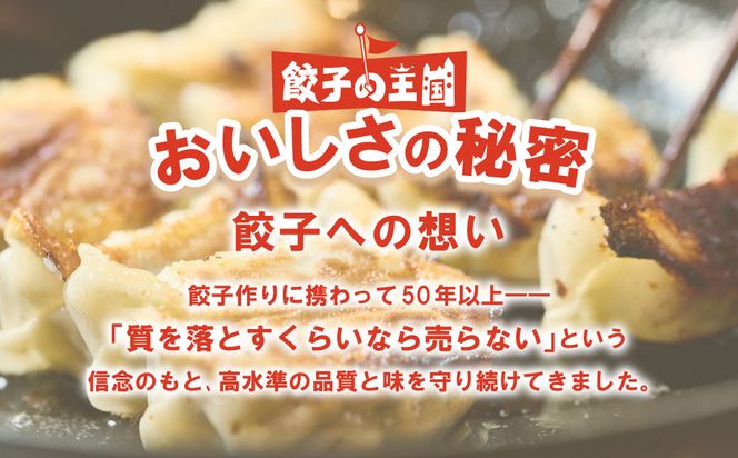 【順次発送】 八代市東陽町の生姜を使った 餃子の王国 人気生餃子126個 ぎょうざ ギョウザ