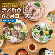 【北海道・離島配送不可】＜定期便・全6回(連続)＞旬の鮮魚(6ヶ月コース)お刺身 お刺し身 魚介 海鮮 漬け丼 ブリ ぶり ヒラメ 真鯛 シマアジ カンパチ お楽しみ【AP-47】【日向屋】