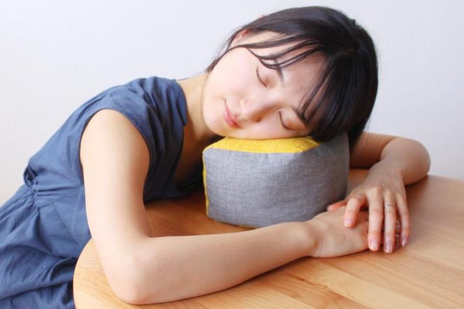 ys{sszy  zR̍ŊACewR~Bxi؂̉ԁj 261009_B-BZ81