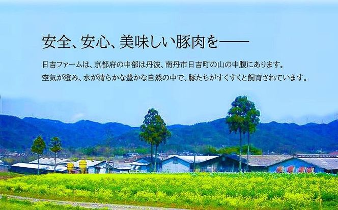 【京都フードパック】「京丹波高原豚」氷温熟成しゃぶしゃぶ３種セット 261009_B-CF04