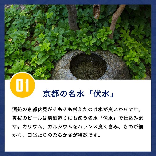 【黄桜】クラフトビール 「悪魔のビール ホワイトエール」（350ml缶×24本）［ キザクラ 京都 お酒 麦酒 人気 おすすめ 定番 ギフト プレゼント 贈答 ご自宅用 お取り寄せ おいしい ］ 261009_B-DN24