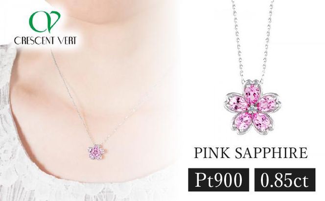 ys{sszyZzNTx[qsNTt@CAEVR_Chry_gy`[t/v`i/9a΁z 261009_B-EU69