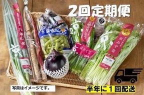 ＜２回　定期便＞【JA全農京都】半年に１回配送！季節の京野菜セット 261009_B-EV04