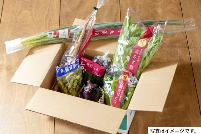 ＜２回　定期便＞【JA全農京都】半年に１回配送！季節の京野菜セット 261009_B-EV04