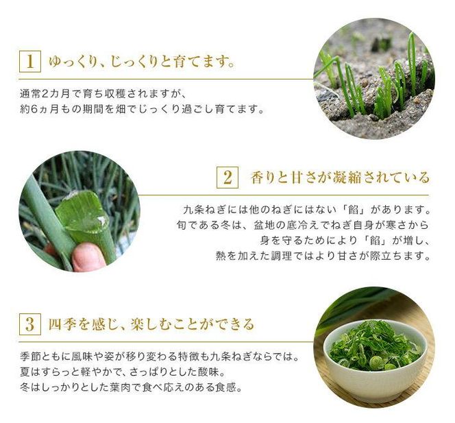 【こと京都】九条ねぎカット食べ比べセット（鍋仕様） 261009_B-GC03