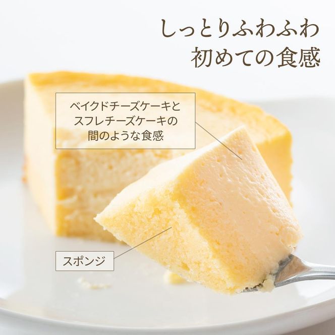 【ソラアオ】京都プレミアムチーズケーキ ［ 京都  チーズケーキ専門店 スイーツ ケーキ 4号 ホールケーキ 人気 おすすめ 洋菓子 コラボ お取り寄せ 通販 送料無料 ふるさと納税 ］ 261009_B-QW02