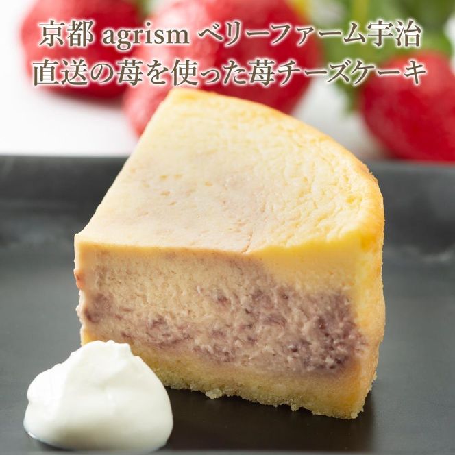 【ソラアオ】京都ソラアオオススメセット（チーズケーキ）［ 京都  チーズケーキ専門店 スイーツ ケーキ 4種 食べ比べ 人気 おすすめ 洋菓子 コラボ いちご お取り寄せ 通販 送料無料 ふるさと納税 ］ 261009_B-QW04