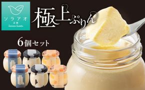 【ソラアオ】ぷりん詰め合わせセット（6個入り）| 京都 チーズケーキ専門店 人気セット［ 京都  とろ生プリン カスタードプリン スイーツ プリン 人気 おすすめ 洋菓子 お取り寄せ 通販 送料無料 ふるさと納税 ］ 261009_B-QW07