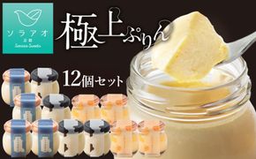 【ソラアオ】ぷりん詰め合わせセット（12個入り）| 京都 チーズケーキ専門店 人気セット［ 京都  とろ生プリン カスタードプリン スイーツ プリン 人気 おすすめ 洋菓子 お取り寄せ 通販 送料無料 ふるさと納税 ］ 261009_B-QW08