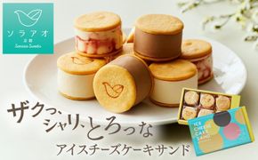 【ソラアオ】アイスチーズケーキサンド 1箱 6個入り | 京都 チーズケーキ専門店 アイス  人気セット［ 京都  チーズケーキ専門店 スイーツ アイス アイスサンド 人気 おすすめ 洋菓子 お取り寄せ 通販 送料無料 ふるさと納税 ］ 261009_B-QW09