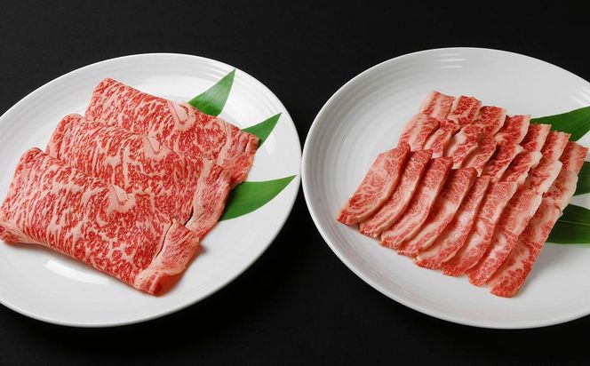 【焼肉の名門天壇】京の肉 リブロース(薄切り大判400g)・カルビ(500g)〈天壇特製たれ付き焼肉セット〉sun0046 261009_B-SS01