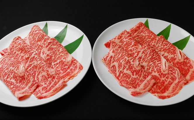 【焼肉の名門天壇】京の肉 リブロース(薄切り大判800g)〈天壇特製たれ付き焼肉セット〉sun0047［ 京都 焼肉 肉 有名店 人気 おすすめ グルメ 高級 ギフト プレゼント お取り寄せ 通販 送料無料 ふるさと納税 ］ 261009_B-SS02