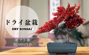 【ドライ盆栽】ギフト券 30,000円分（ワークショップ・作品購入に使用可能） 261009_B-UT03