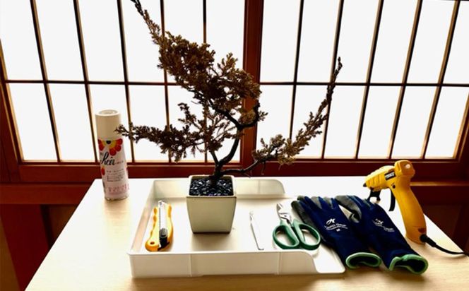 【ドライ盆栽】ギフト券 30,000円分（ワークショップ・作品購入に使用可能） 261009_B-UT03