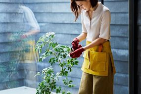 【kiten.kyoto】HANNOREN. 黄檗（KIHADA） 261009_B-VC02VC02