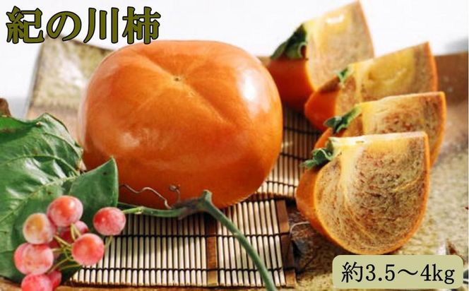 ya̎R쒬zy󏭁zI̐`3.5`4kgi햳jGIi2025N10{菇yTM12z 303446_XH095