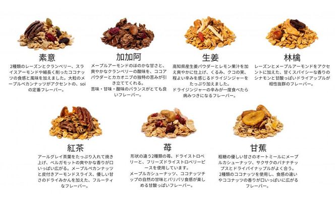 【定期便・全６回】毎月届く soi 定番グラノーラ７種BOX 232238_PP36-PR