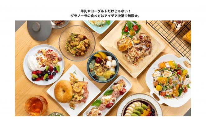 【定期便・全６回】毎月届く soi 定番グラノーラ７種BOX 232238_PP36-PR