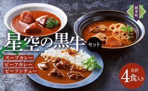 「星空の黒牛」カレー・シチュー・スープカレーセットA 4食【 ビーフシチュー カレー スープカレー 加工品 肉加工品 おうちごはん 簡単調理 レトルト セット グルメ ギフト お取り寄せ 標茶町 北海道 】 016641_AF001