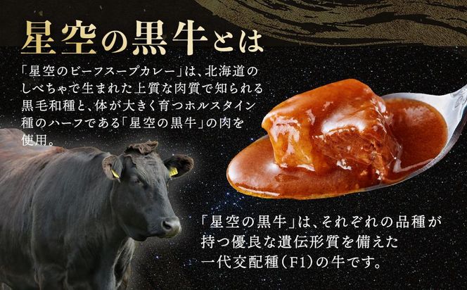 「星空の黒牛」カレー・シチュー・スープカレーセットB 6食【 ビーフシチュー カレー スープカレー 加工品 肉加工品 おうちごはん 簡単調理 レトルト セット グルメ ギフト お取り寄せ 標茶町 北海道 】 016641_AF002