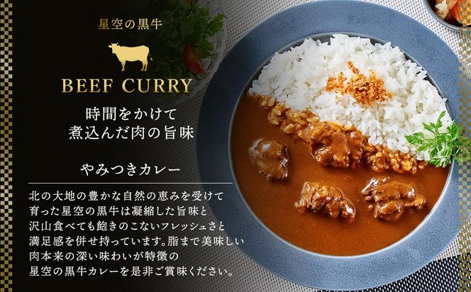 「星空の黒牛」カレー・シチュー・スープカレーセットB 6食【 ビーフシチュー カレー スープカレー 加工品 肉加工品 おうちごはん 簡単調理 レトルト セット グルメ ギフト お取り寄せ 標茶町 北海道 】 016641_AF002
