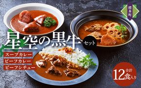 「星空の黒牛」カレー・シチュー・スープカレーセットE 12食【 ビーフシチュー カレー スープカレー 加工品 肉加工品 おうちごはん 簡単調理 レトルト セット グルメ ギフト お取り寄せ 標茶町 北海道 】 016641_AF005
